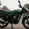 Bajaj Platina CNG bike with green CNG sticker